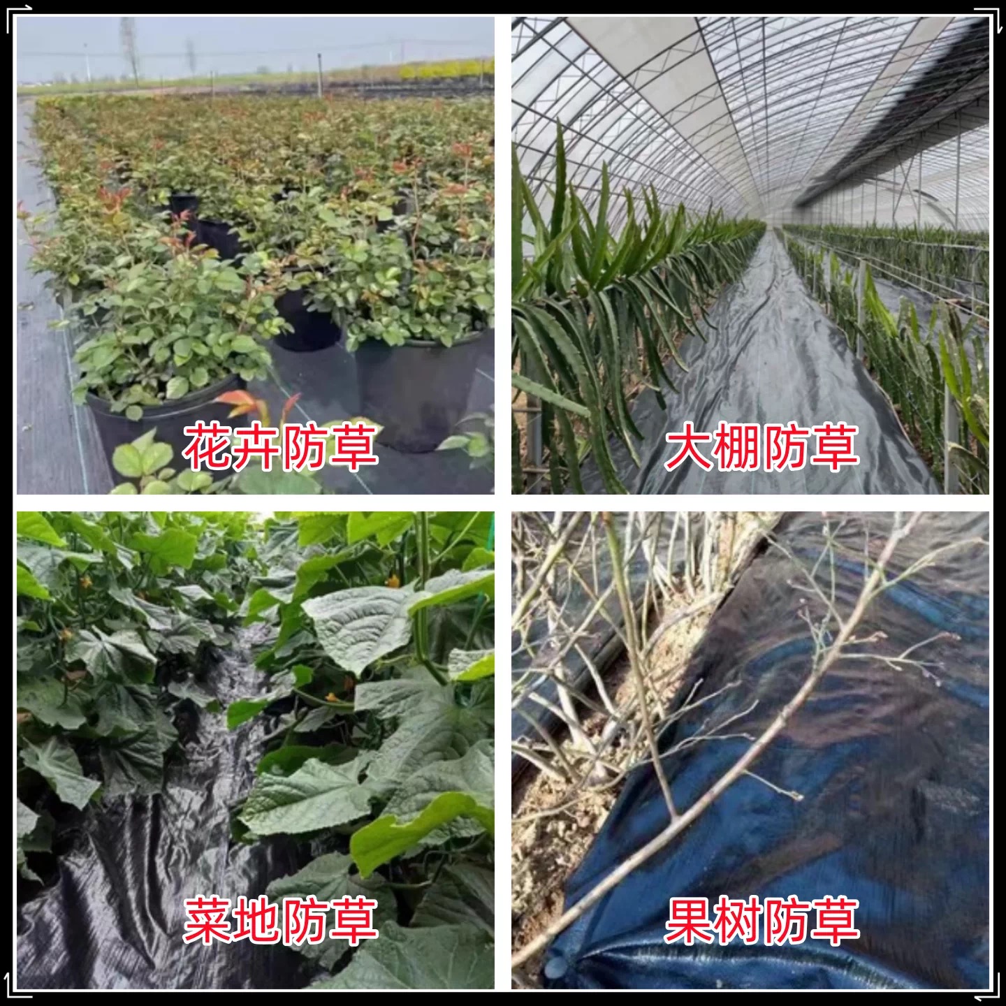 河池市黑白养殖膜防草布 - 方案