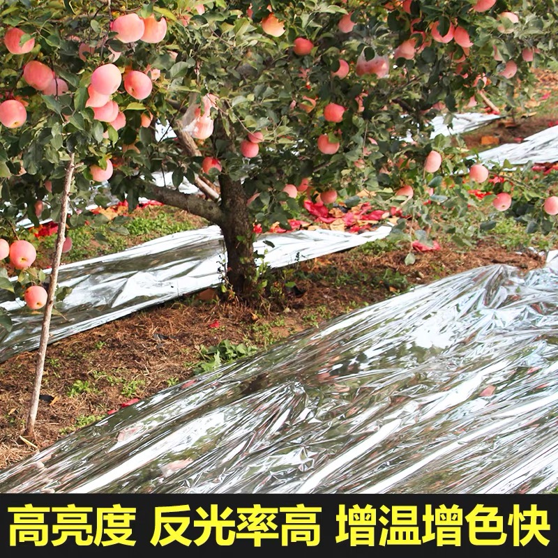 河池市po膜果树反光膜 - 排名